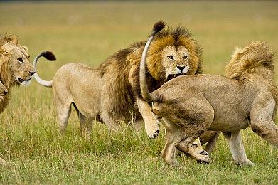 消息称英特尔与Xbox合作下一代主机被坑：让人恼火