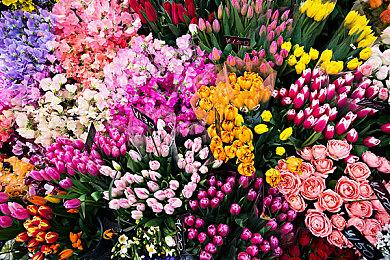 《Apex英雄》近期接连遭遇批评 开发商出面发表回应